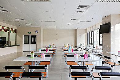 《植物大战僵尸3》发布游戏预告 年内上线